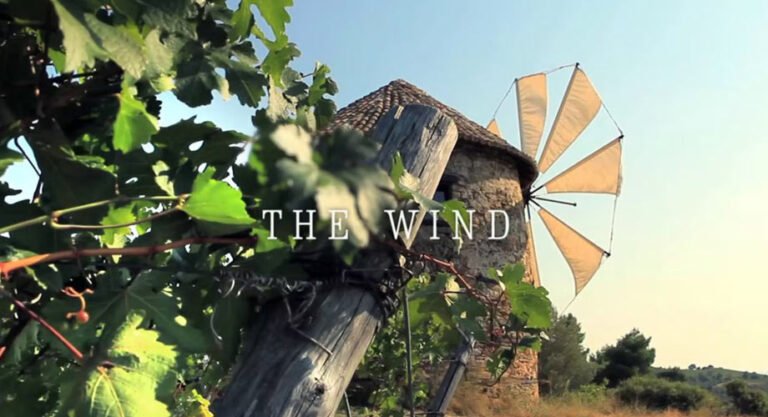 The-Wind